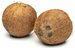 R37m coconut boost for small farmers